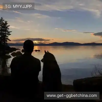 毛泳晟